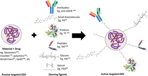 Figure 2 From passive to active targeting by the attachment of steering molecules to the surface of the NPs for molecular recognition by cancer cell membrane.