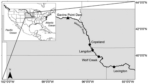 Figure 1. Map of study area and reaches (circles) in the lower Missouri River. Reaches listed from West to East with distance from the Mississippi River confluence: Copeland (901–925 River kilometer [Rkm]), Langdon (838–861 Rkm), Wolf Creek (763–781 Rkm), and Lexington (494–526 Rkm).