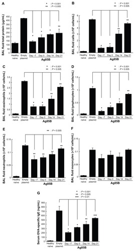 Figure 2 Marked inhibition of the development of allergic inflammation by administration of Ag85B DNA. BAL fluid was obtained by injecting and recovering two 0.5 mL aliquots of phosphate-buffered saline via a tracheal cannula. Cells in the lavage fluid were counted using a hematocytometer, and the differentials were determined by utilizing light microscopy to count 300 cells on Cytospin® preparations (Thermo Fisher Scientific, Waltham, MA). The concentration of inflammatory protein was measured by Protein Assay Reagent (Bio-Rad Laboratories, Hercules, CA). Results for healthy naïve mice and control plasmid DNA-immunized mice are also shown. (A) Total protein, (B) number of cells, (C) eosinophils, (D) lymphocytes, (E) neutrophils, and (F) monocytes in BAL fluid from experimental animals were investigated. (G) The degrees of ovalbumin-specific immunoglobulin E responses in sera collected from experimental mice were also analyzed. Immunoglobulin E levels in sera were measured using enzyme-linked immunosorbent assay kits according to the procedure recommended by the manufacturer (Shibayagi Co, Ltd, Shibukawa, Japan). BAL fluid and sera were collected 25 days after the first ovalbumin immunization.