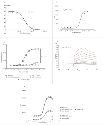 Figure 2. In vitro activity of MEDI1873. (A) Binding of MEDI1873 to recombinant hGITR in a solution-based affinity measurement assay using KinExA. (B) Binding of MEDI1873 to hGITR-transfected Jurkats, as measured by mean fluorescence intensity (MFI) in a FACS-based assay. The binding isotherm was analyzed and dissociation constant estimated using a non-linear regression model describing one-site (specific) binding. (C) Luminescence signal downstream of an NFκB-luciferase reporter gene in hGITR-transfected Jurkat cells following addition of MEDI1873, anti-GITR (A18) or appropriate isotype matched controls. Error bars represent the SEM from triplicates. p value represents results of an unpaired T test between values at the highest concentrations of MEDI1873 and A18. (D) Sensorgrams showing MEDI1873 binding to hFcgRIIIA-158V in an SPR-based assay. Data were fitted using a simple 1:1 bimolecular binding model to derive the kinetic parameters. (E) Luminescence signal (RLU) downstream of an NFκB-luciferase reporter gene in hGITR-transfected Jurkat cells following addition of MEDI1873, or appropriate isotype matched control, in the presence or absence of CD45+ TIL from primary human tumors. Error bars represent the SEM from quadruplicates. p value represents results of an unpaired T test between values at the highest concentration of MEDI1873 in the presence and absence of CD45+ TIL.