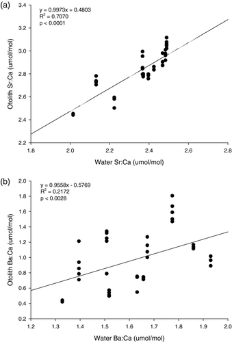 FIGURE 3 Linear regressions of (a) the otolith Sr:Ca values of individual age-0 alewives on the mean Sr:Ca values in the water at the collection sites and (b) the otolith Ba:Ca values of individual age-0 alewives on the mean Ba:Ca values in the water at the collection sites. All element : Ca ratios were based on the freshwater residency period of the fish and were log10 transformed.