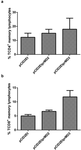 Figure 3. Analysis of the induction of memory cells in immunized animals. A) Percentage of memory TCD4 + lymphocytes; B) Percentage of memory TCD8 + lymphocytes