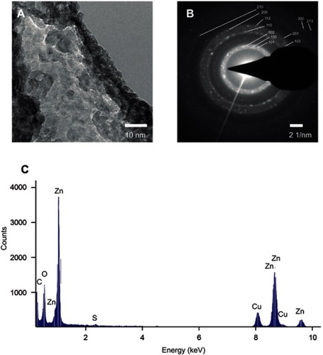 Figure 3 TEM analysis of the synthesized Zn nanoparticles. (A) TEM micrography of Zn nanoparticles in the EPS matrix. (B) SAED pattern of the synthesized Zn nanoparticles. (C) Elemental composition of the ESP capped Zn nanoparticles.Abbreviations: EPS, exopolysaccharides; TEM, transmission electron microscopy; SAED, selected area electron diffraction.
