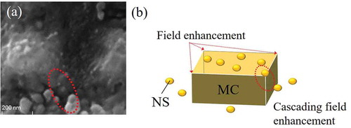 Figure 15. Cascading field enhancement effect. (a) The expanded SEM image when the nanostructure is in contact with the corner of a microcube structure and (b) their representation. A large local field enhancement might be obtained by the cascading field enhancement effect where indicated in the red dotted circle.