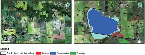 Figure 5. Examples of the reclassified Alberta Biodiversity monitoring institute 3 × 7 photo plot data reference layer used for wetland comparison