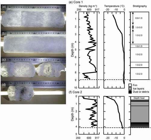 Figure 2. Selected photographs and physical properties of the two ice cores from the Western Cwm of Khumbu Glacier taken in a laboratory at Chiba University in 2016: (a) core 1: 4.19–4.43 m; (b) core 1: 7.58–7.88 m; (c) core 2: 0.39–0.64 m; (d) core 2: 1.63–1.73 m; (e) and (f) density, borehole temperature, and stratigraphy with snow grain size in firn layers for cores 1 and 2, respectively