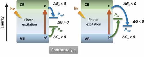 Figure 2. Electronic structure of a semiconductor photo-catalyst and gibbs energy change taking place in a photo-catalytic reaction. Acronyms: CB/VB: conduction/valence band; Pred/Pox substrate to be reduced or oxidized; G; Gibbs function. See text for details. adapted with permission from ref. 11. copyright RSC.