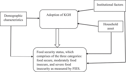 Figure 1. Conceptual framework for determinants of KHGs’ adoption, food security and causal effect of KHG on food security.