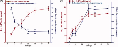 Figure 1. Growth kinetics and biosorption capacities. Engineered Pichia pastoris containing an active variant of cytochrome-b5 reductase was treated either with 10 mM HAuCl4 (A) or 60 mM PdCl2 (B). Growth kinetic and biosorption capacity were recorded based on dry cell weight (mg/ml) and ICP-OES data, respectively. The values represent the means of three independent experiments (Mean ± Standard Error).