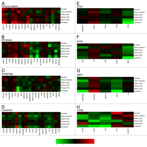Figure 6.A–H. Heat map of significance of differential metagene expression between chemotherapy responding and non-responding patients. Signed log P values were computed for each immune (A), ER-stress (B), autophagy (C) or lysosomal (D) response-relevant metagenes (yellow lines delimit different levels of reproducibility as determined in Figure 1,or transcription factor-determined (E–H) metagenes by one-tailed, unpaired Student’s t tests to compare the transcript levels in tumors that underwent complete pathological responses (cPR) with those that failed to respond to chemotherapy. This calculation was done for each cohort and treatment option separately. The “combined” rows represent the signed log P value obtained by the aggregation of the individual data set values by means of Fisher’s method. The color scale represents log (base 10) of P values, with a positive or negative sign to indicate over (red) or under (green) expression, respectively, in samples from patients with cPR relative to samples from non-responders.