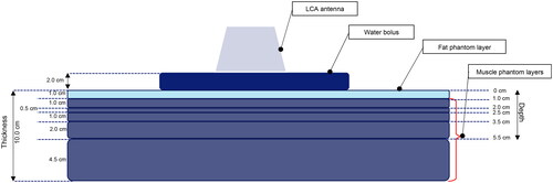 Figure 1. Schematic illustration of the fat-muscle layered phantom. The first layer (light blue) represents the fat phantom material and the following layers represent muscle phantom material. Thermometry probes were positioned at 2 cm depth in the fat-muscle phantom (1 cm depth in the muscle phantom).