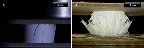 Figure 3. Close-up of the two different fracture behaviors observed in ice-templated samples. (A) brittle fracture sample from group S3 and (B) progressive crushing from group S1.