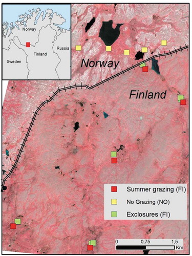 Figure 1. Locations of study sites across the national border with reindeer fence between Finland and Norway. Reindeer grazing pressure is lower and missing during summer on the Norwegian side, where abundance of lichens on dry tundra gives a whitish tone in the false-color image. The Finnish side has a historical legacy of high grazing pressure throughout the year, indicated by the lack of lichen cover, and is now used as summer pasture imposing high grazing pressure on mire habitats.
