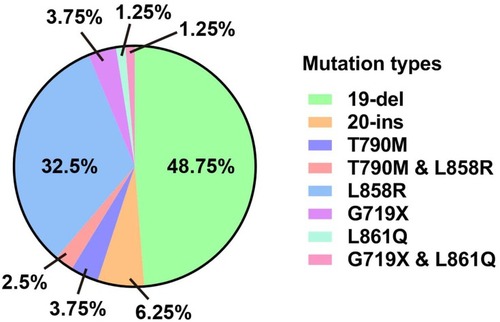 Figure 1 A comprehensive view of EGFR mutations in patients with LSCC (n = 80).
