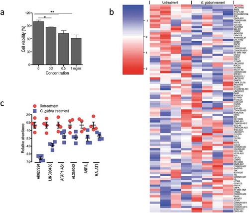 Figure 1. G. glabra treatment alters the expression of tumor-related lncRNAs.(a) MTT assay examined the anti-cancer activity of G. glabra on C666-1 cells. (b) LncRNA profiling of G. glabra-treated C666-1 cells. (c) Eight down-regulated lncRNAs in G. glabra-treated C666-1 cells. Error bars ± SEM