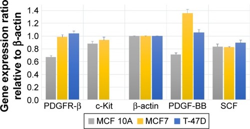 Figure 6 Comparative expression of the PDGFR-β, c-Kit, PDGF-BB and SCF genes compared to house-keeping gene (β-actin) in untreated two MCF7 and T-47D breast tumorigenic cell lines and a nontumorigenic breast cell line MCF 10A.