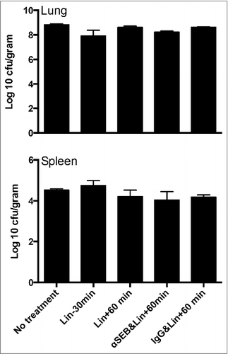 Figure 3. Impact of combined administration of linezolid and humanized anti-SEB antibodies on bacterial load. Lungs and spleens aseptically harvested from mice sacrificed in Fig 2 were quantitatively cultured to determine bacterial load. Each bar represents mean ± SE from 3–5 mice.