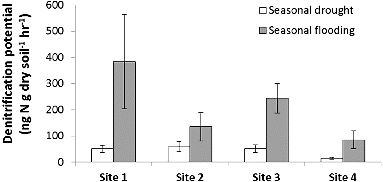 Figure 2. Average seasonal denitrification potential and standard error among study sites. Site 1 had the greatest impervious surface.