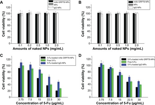 Figure 5 Cell viability analysis.Notes: (A) Viability of SMMC-7221 cells after incubation with different amounts of naked NPs for 48 hours (n=3). The naked NPs did not inhibit the viability of SMMC-7721. (B) Viability of PLC cells after incubation with different amounts of naked NPs for 48 hours (n=3). NPs did not inhibit the viability of PLC. (C) SMMC-7721 cell viability cultured with 5-Fu-loaded NPs at different concentrations of 5-Fu (3.75 μg/mL, 7.5 μg/mL, 15 μg/mL, 22.5 μg/mL, 30 μg/mL) in medium after 48 hours. (D) PLC cell viability of free 5-Fu, 5-Fu loaded IgG-NPs, and 5-Fu-loaded mAb GRP78-NPs at various concentrations of 5-Fu (3.75 μg/mL, 7.5 μg/mL, 15 μg/mL, 22.5 μg/mL, 30 μg/mL) in medium after 48 hours. Data are presented as means ± SD (n=3). Compared with PLC cells, mAb-NPs facilitated the apoptosis of SMMC-7721, which had highly expressed GRP78 at the cell surface.Abbreviations: 5-Fu, 5-fluorouracil; IgG-NPs, NPs conjugated with IgG; mAb GRP78-NPs, NPs conjugated with monoclonal antibody against GRP78; NPs, nanoparticles; SD, standard deviation.