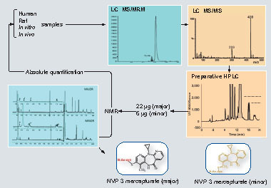 Figure 3. Integrated LC–MS and NMR for investigation of drug bioactivation.