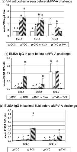 Figure 1.  Presence of aMPV-specific antibodies in turkey sera collected immediately before challenge infection at day 14 post vaccination (Experiments 1 and 2) or day 15 post vaccination (Experiment 3). 1a: VN antibodies, presented as mean VN log2 titres±standard deviation (SD) per group. 1b: Serum ELISA IgG antibodies and (1c) ELISA IgG antibodies in lachrymal fluids, presented as mean S/P ratio±SD per group. Values marked with different uppercase letters indicate significant differences between groups within one experiment (one-way analysis of variance and Tukey's comparison of means, P < 0.05). ND, not done. CCC, T-cell-intact, unvaccinated groups; TCC, CsA-treated, unvaccinated groups; CVC (Experiments 1 and 2) or CVA (Experiment 3), T-cell-intact, aMPV-A vaccinated groups; TVC (Experiments 1 and 2) or TVA (Experiment 3), CsA-treated, aMPV-A vaccinated groups. Experiments 1 and 2, n = 8; Experiment 3, n = 6. Turkeys in Experiments 2 and 3 had been exposed to an aMPV-B vaccine in the hatchery.