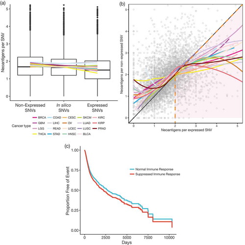 Figure 2. (a) Boxplots for the average immunogenicity (neoantigens per SNV; y-axis) per subject for non-expressed, in silico, and expressed SNVs (x-axis). Colored lines showing the average number of neoantigens per SNV for each cancer type are overlaid. Outliers above a threshold of 5 neoantigens per SNV are omitted from plot to simplify the display. (b) Scatterplot showing direct comparison of the number of neoantigens per expressed (x-axis) or non-expressed (y-axis) SNV. Colored lines show the locally weighted average neoantigens per non-expressed SNV (LOESS) for each cancer type across x-axis values. Orange dashed line separates subjects predicted to have suppressed immune response (right of line, pink shade, n = 956) from those with a normal (i.e. non-suppressed) immune response (left of line, n = 4,792). Plot zoomed in to show bulk of the data – 55 outliers of the 5,748 total data points fall outside of this window. (c) Survival curves showing the effect of evidence of normal immune response (blue) compared to suppressed immune response (red), adjusted for the effect of covariates from the  Cox proportional hazards multivariate model.