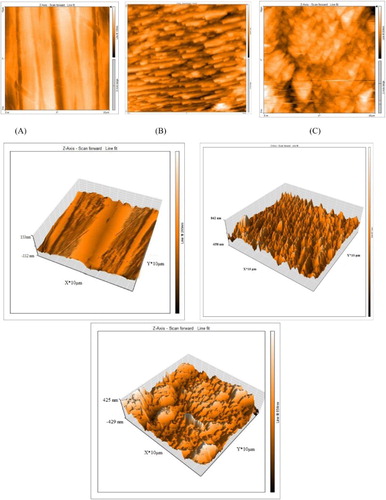 Figure 11. 2D and 3D AFM of α-brass: (a) polished α-brass before of inundation in 1 M HNO3, (b) after 24 h of inundation in 1 M HNO3 and (C) after 24 h of inundation in 1 M HNO3+ 3 00 ppm PEG.