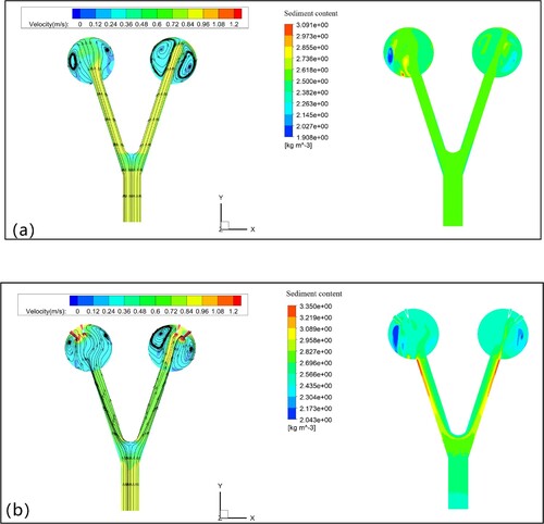 Figure 6. Distribution of streamlines and sediment content in various cross-sections: (a) y2 cross-section; (b) y1 cross-section.