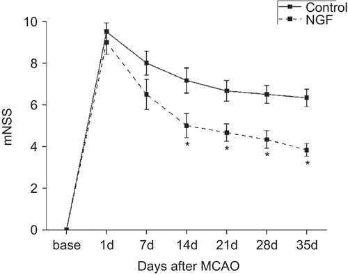 Figure 2.  The schedule of BrdU injection