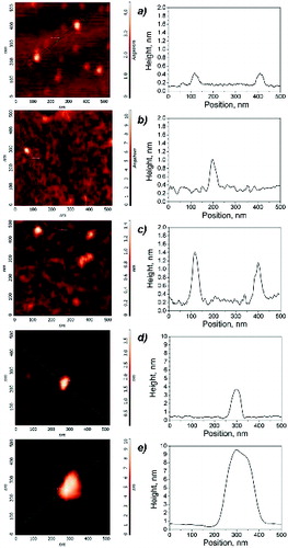 FIG. 2. AFM semicontact images of isolated particles collected from different flames (left), and corresponding height profiles along the continuous green line (right): (a) Φ = 1.85; (b) Φ = 1.89; (c) Φ = 1.95; (d) Φ = 2.16; (e) Φ = 2.58.