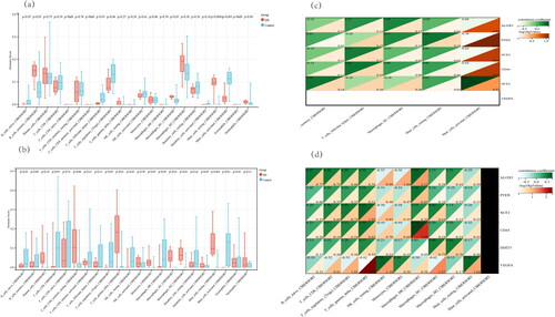 Figure 7. Immune infiltration analysis and Pearson correlation analysis between immune scores and expression levels of hub genes. (a) Immune infiltration scores of the GSE104954 dataset. (b) Immune infiltration scores of the GSE30529 dataset. Red boxes represent diabetic neuropathy (DN) samples and blue boxes represent control samples. (c) Pearson correlation analysis between immune scores and expression levels of hub genes in GSE104954. (d) Pearson correlation analysis between immune scores and expression levels of hub genes in GSE30529. The color from white to deep green refers to the correlation coefficient from small to large and the color from white to deep red refers to the -log10 p-value.