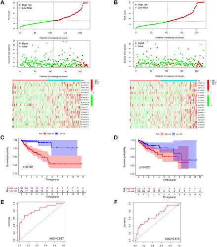 Figure 4 Construction and validation of prognostic signatures of m6A-related lncRNAs in TCGA Cohort.
