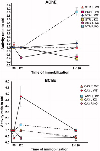 Figure 2. Changes in acetylcholinesterase (AChE) and butyrylcholinesterase (BChE) activities in KO mice expressed as ratio relative to unstressed control (ctrl). Control mice (intact mice, time =0) were not immobilized. Ordinate shows duration of immobilization, abscissa gives mRNA expression ratio relative to control. If there is significant difference, then the respective increase/decrease is shown; if there is no difference, then the ratio is set to 1.0. Data are expressed as mean ± SEM. One-way ANOVA with SNK post hoc analysis (n = 4 in all groups). Abbreviations in inset key: STR: striatum; AMY: amygdala; CA3: CA3 hippocampal area; VTA: ventral tegmental area; PCx: parietal cortex; WT: wild type mice; KO: CRH-KO mice; R: right hemisphere; L: left hemisphere; AChE: acetylcholinesterase; BChE: butyrylcholinesterase. For individual changes expressed as measured values see Supplementary Figures 6–9.