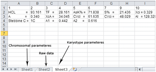 Figure 3. After tracing chromosomes, all the related data in the tables can be stored in an Excel file which includes three tabs. The chromosomal parameters are stored in the first tab, raw data are stored in the second tab and the karyotype parameters are stored in the third tab.