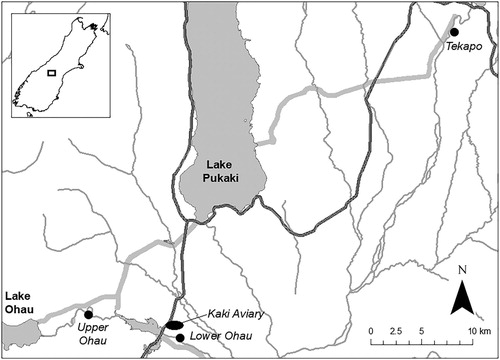 Figure 1. The locations of the Upper Ohau, Lower Ohau, and Tekapo sites, and the kakī aviary complex in the Mackenzie Basin, New Zealand.