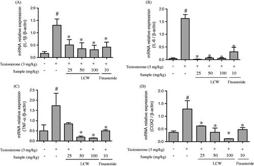 Figure 3. Effect of LCW on inflammatory cytokines in TPH. mRNA expression of IL-1β (A), IL-6 (B), TNF-α (C) and COX2 (D) in the prostate tissue of testosterone-treated rats administered LCW orally as quantified by quantitative real-time PCR. Values are mean ± S.E.M. (n = 6). #p < 0.05, significantly different from the normal control group. *p < 0.05, significantly different from the TPH.