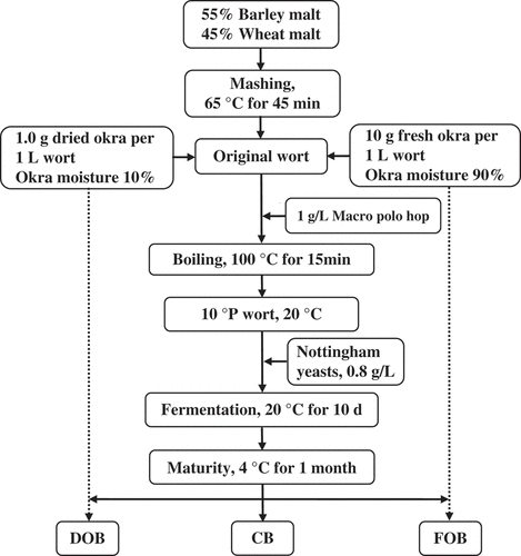 Figure 1. Flowchart of production process of cloudy wheat beer.Note: CB: Control beer; FOB: beer with fresh okra pulp; DOB: beer with dried okra powder.