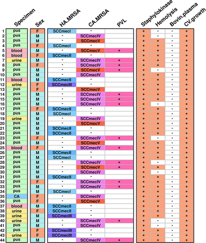 Figure 2 MRSA host specific, specimen and associated infection classification with PVL production.