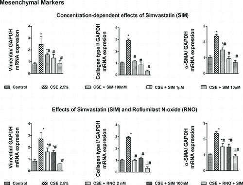 Figure 2.  Effects of roflumilast N-oxide (RNO) and simvastatin (SIM) on cigarette smoke extract (CSE)-induced mesenchymal markers in WD-HBECs, mRNA analyses. WD-HBECs were incubated with SIM (100 nM–10 μM), RNO (2 nM), or RNO (2 nM) and SIM (100 nM) together for 30 minutes before exposure to CSE (2.5%) for 72 hours. Total RNA was isolated for real time RT-PCR analysis of mesenchymal markers vimentin, collagen type I and alpha smooth muscle actin (α-SMA). Data are expressed as the ratio to GAPDH and normalized to the vehicle control group. Results are expressed as means ± SEM of n = 3–4 independent experiments per condition. One-way ANOVA followed by post hoc Bonferroni tests. *p < 0.05 related to vehicle controls; #p < 0.05 related to CSE. *# p < 0.05 related to RNO (2 nM) or SIM (100 nM) alone.