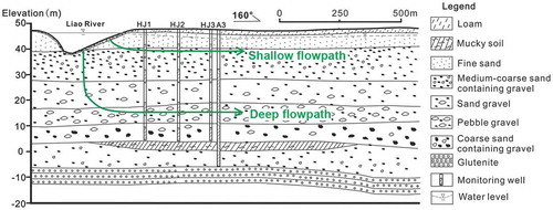 Figure 2. Hydrogeological cross-section and groundwater flow paths.