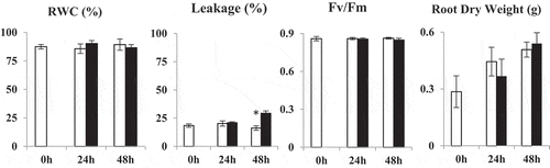 Figure 1. RWC (%), membrane ion leakage (%), Fv/Fm and root dry weight (g) values in control (open bars) and PEG-treated (dark bars) N. tabaccum plants on days 0, 24 and 48 hours. Values presented are the mean ± SE (n = 10) of two independent experimental series, *p < .05