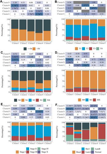 Figure 2 Association between five subtypes and clinical features. (A) Distribution of age samples in 5 subtypes; (B) Distribution of T-stage samples in 5 subtypes; (C) Distribution of N-stage samples in 5 subtypes. (D) Distribution of M-stage samples in 5 subtypes. (E) Distribution of Stage staged samples in 5 subtypes. (F) Distribution of typical molecular subtype samples in 5 subtypes. Chi-square test was used, *P<0.05.