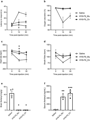 Figure 3. In vivo comparison of murine and chimeric HY6-F9 in rats. Rats (n=3–4 male rats per group) were passively immunized with anti-fentanyl mAb (40 mg/kg, i.p.), and 24 hours later were challenged with 0.1 mg/kg fentanyl. (a) Fentanyl-induced antinociception as latency to respond on a hot plate; (b) oxygen saturation, (c) heart rate, and (d) breath rate measured by pulse oximetry. Concentrations of fentanyl in (e) brain and (f) serum measured by LCMS. Data are expressed as mean ± SEM; *p≤.05; **p≤.01; ***p≤.001.
