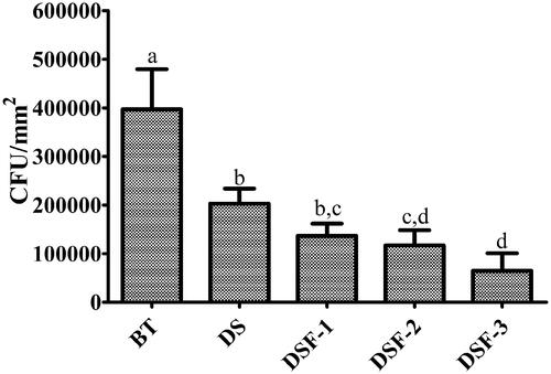 Figure 3. The amounts of S. mutans recovered from the surface of dental resin composites. Identical lower-case letters indicate that there was no significant difference in the amounts of S. mutans between the different groups (p = 0.05).