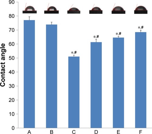 Figure 5 Contact angles of various samples.Notes: A, Ti; B, Ti-PTL; C, HA/CS; D, HA/CS-ICA-L; E, HA/CS-ICA-M; F, HA/CS-ICA-H. Data are expressed as mean ± SD (n=3). *A statistical significance compared to the Ti group (P<0.05). #A statistical significance compared to the Ti-PTL group (P<0.05).Abbreviations: CS, chitosan; HA, hyaluronic acid; ICA-H, icariin-high dose; ICA-L, icariin-low dose; ICA-M, icariin-middle dose; PTL, phase-transited lysozyme; Ti, titanium.