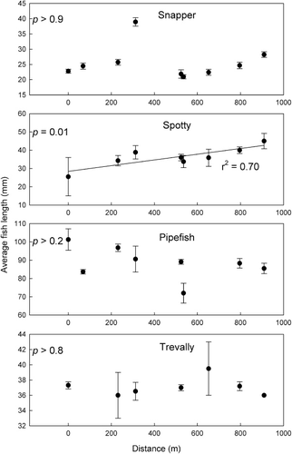 Figure 6 Mean length of four fish species by distance from the site closest to the harbour mouth. Means are for all fish captured within a site (pooled across both high and low habitat availability treatments) and error bars displayed are ± 1 standard error. Significance test results for linear regressions reported for all species, but regression lines and r2 values only presented where regressions were significant. Lengths are standard or fork length, depending on the species and vertical scales differ between species.