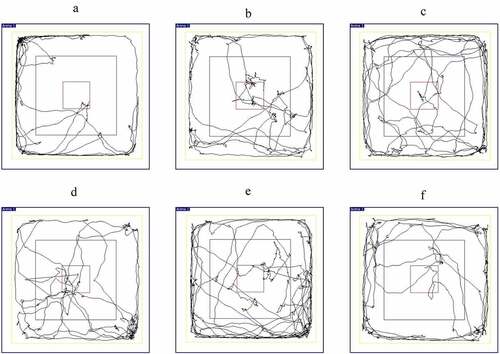 Figure 11. The rat trajectory diagram of each group in the open field experiment. (a) Normal group. (b) Model group. (c) Diazepam group. (d) Low dose of BX-YYR group. (e) Medium dose of BX-YYR group. (f) High dose of BX-YYR group.