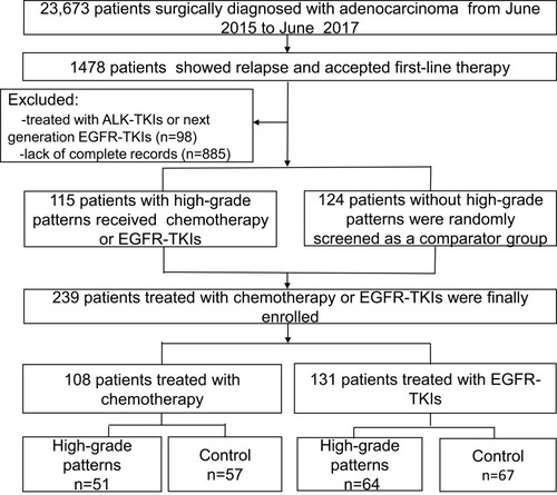 Figure 2 Flowchart of the patient selection process.