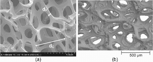 FIG. 1. Scanning electron microscope (SEM) picture of real structure (a) and a tomography (b) of the inspected open-pored nickel foam.