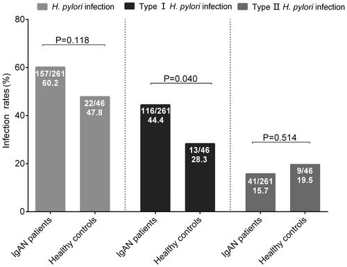 Figure 1. The Helicobacter pylori infection rates in IgA nephropathy patients and healthy controls. IgAN: IgA nephropathy; H. pylori: Helicobacter pylori.